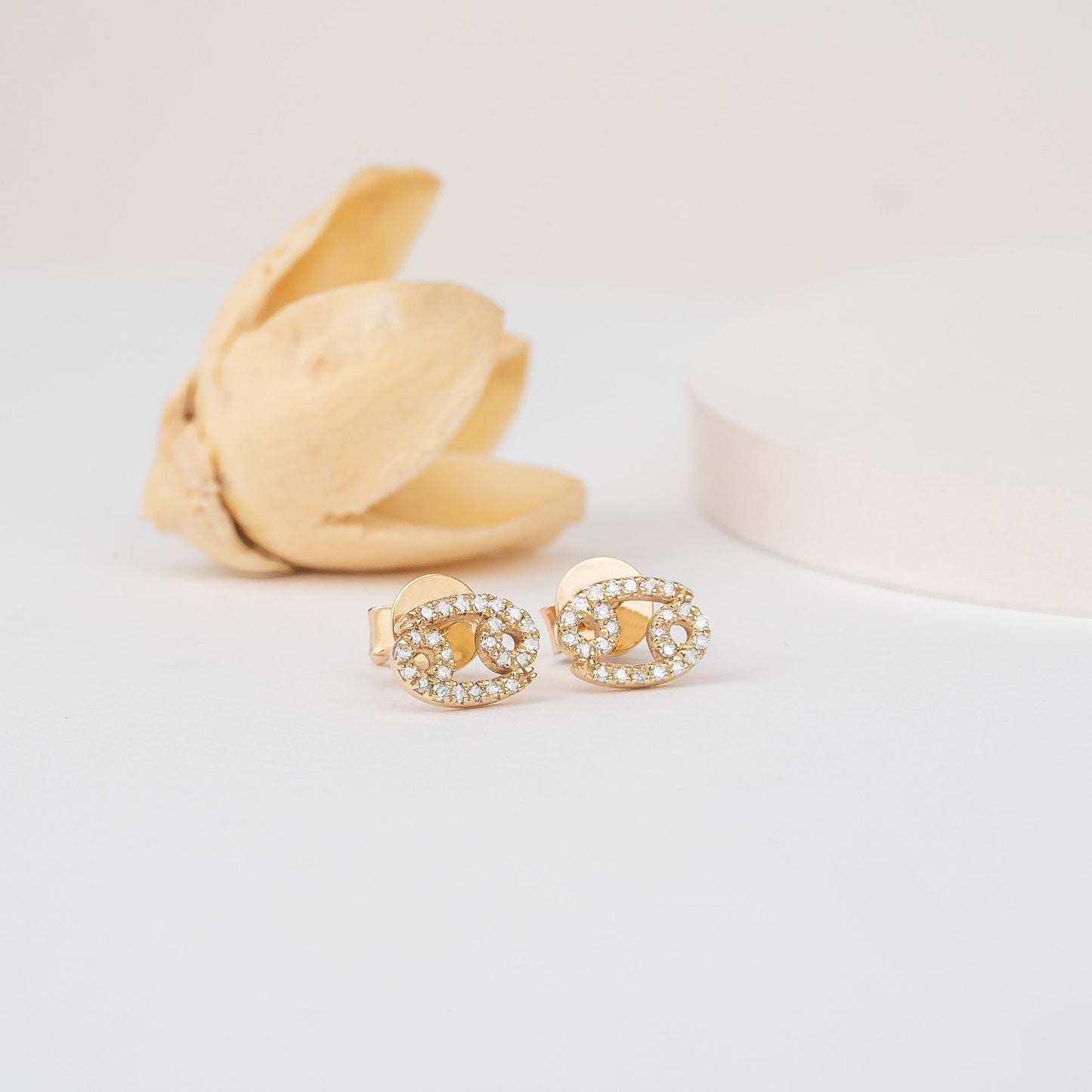 Horoscope Diamond Stud Earrings, Destiny - Geum Jewels